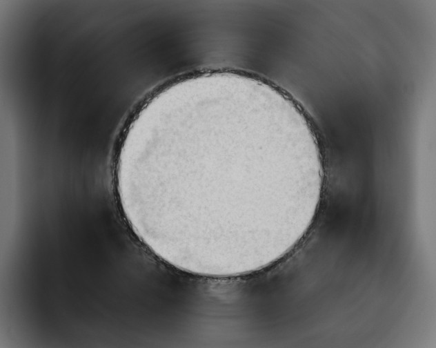 X0000093110832200710031314