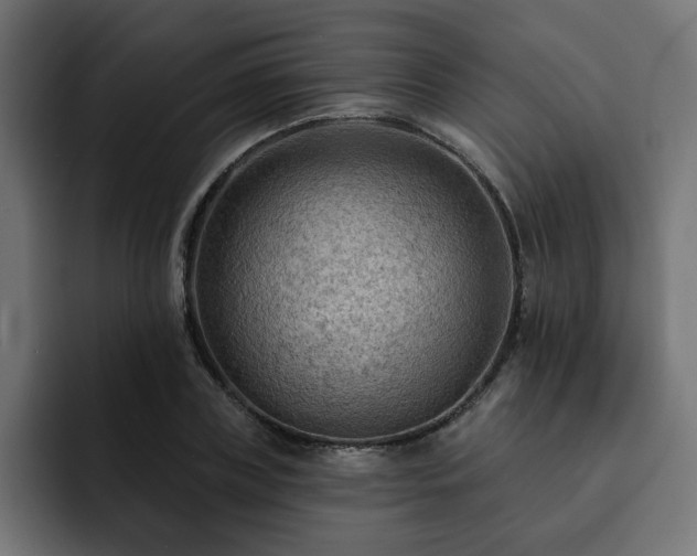 X0000093110835200710031314