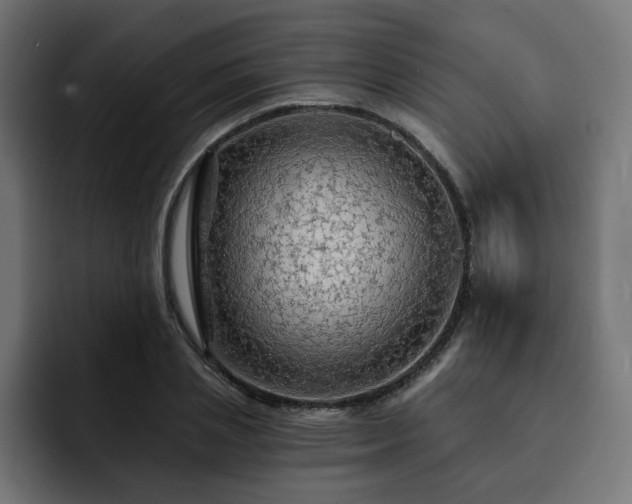 X0000093110837200710031314