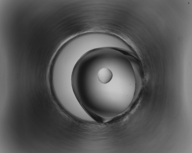 X0000093110838200710031314