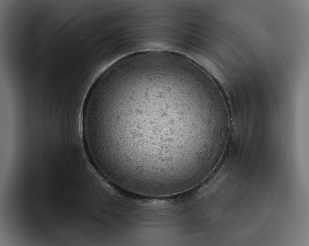 X0000093110839200710031314