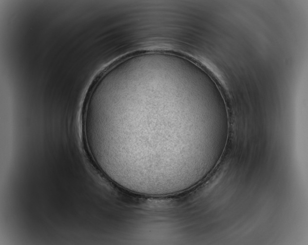 X0000093110840200710031314