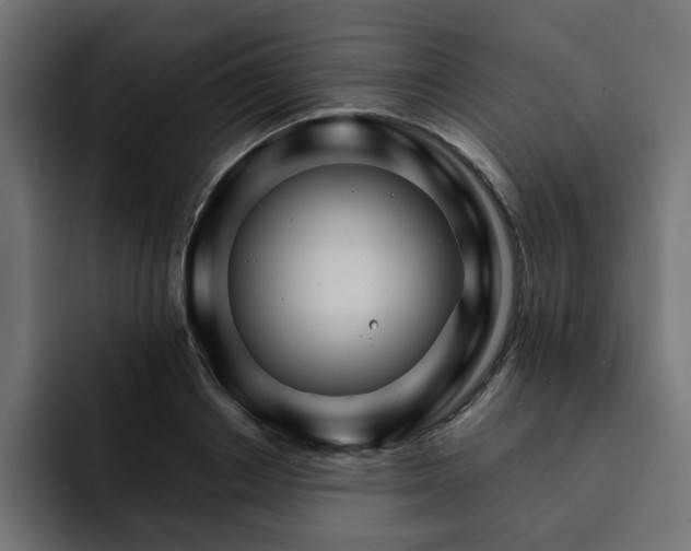 X0000093110842200710031314