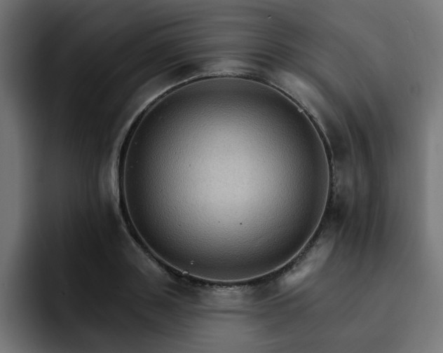 X0000093110843200710031314