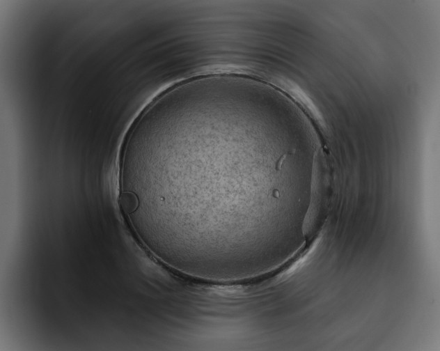 X0000093110844200710031314