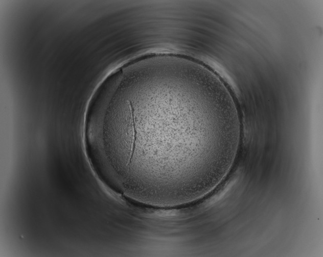 X0000093110845200710031314
