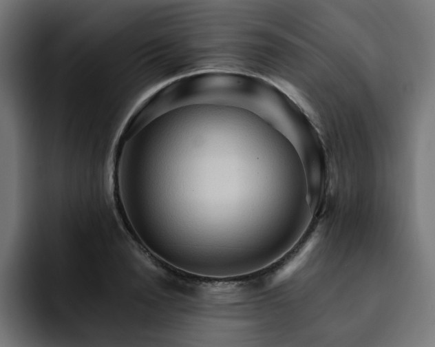 X0000093110846200710031314