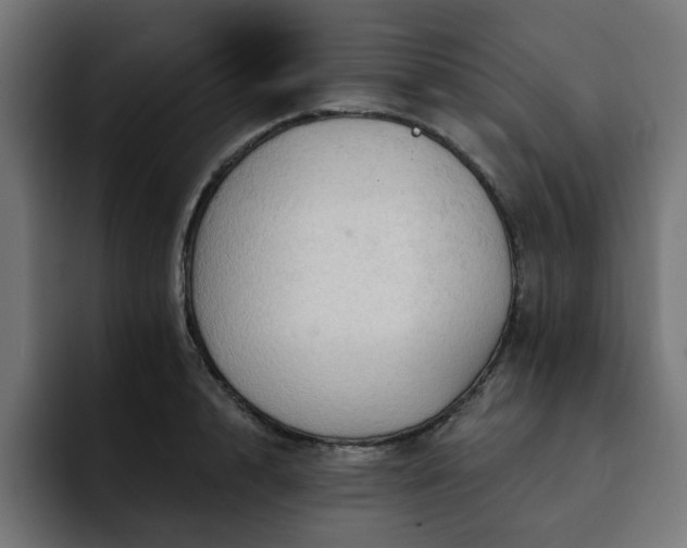X0000093110848200710031314