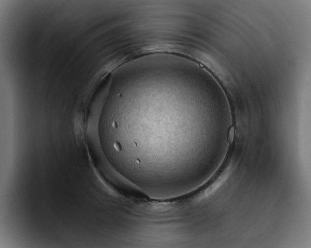 X0000093110849200710031314