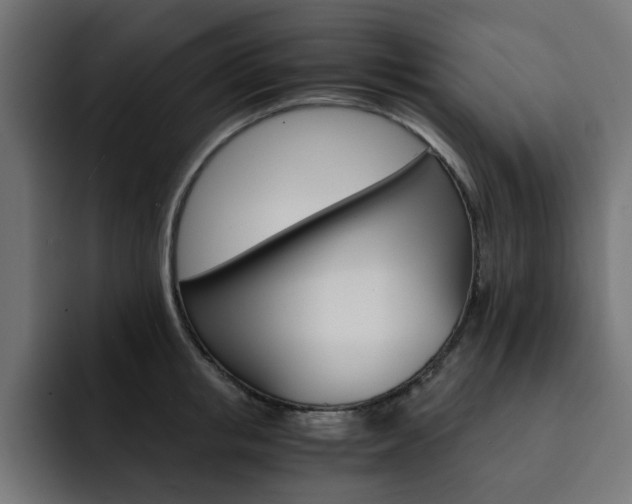 X0000093110853200710031315