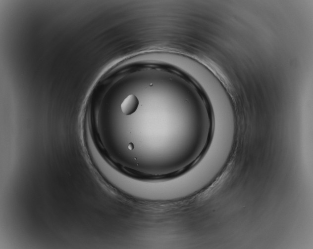 X0000093110854200710031315