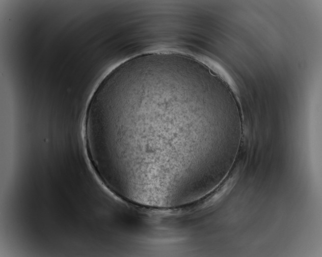 X0000093110855200710031315