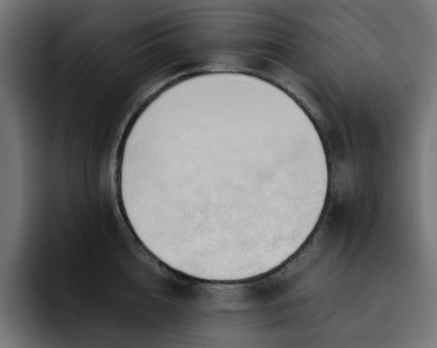 X0000093110856200710031315