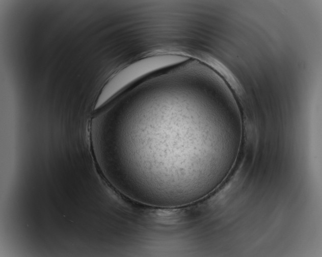 X0000093110857200710031315