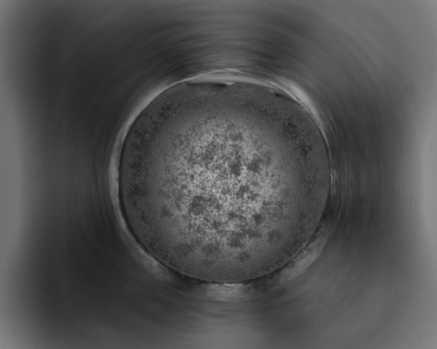 X0000093110859200710031315