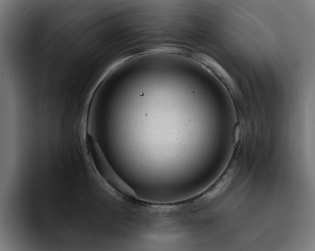 X0000093110860200710031315