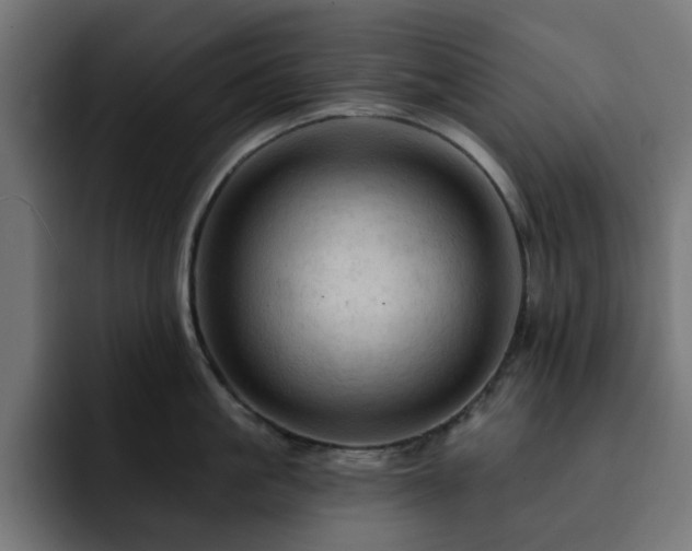 X0000093110861200710031315