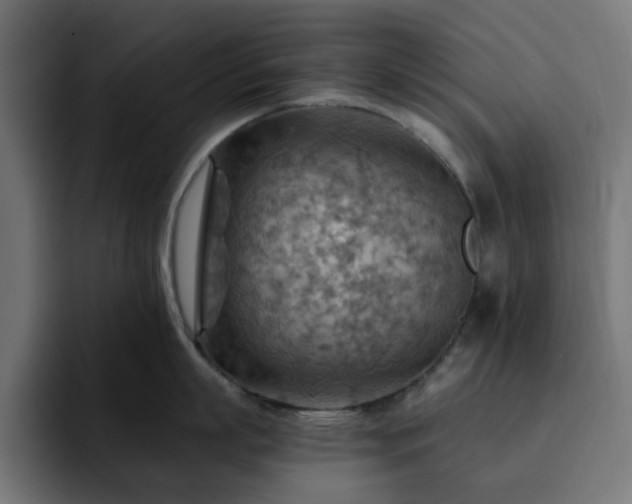 X0000093110863200710031315
