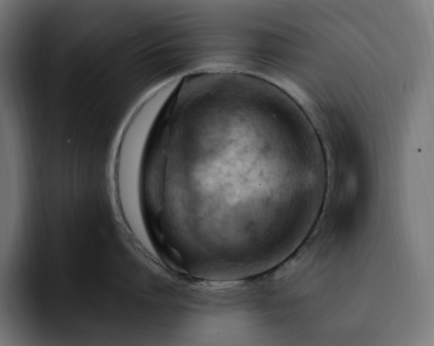 X0000093110864200710031315