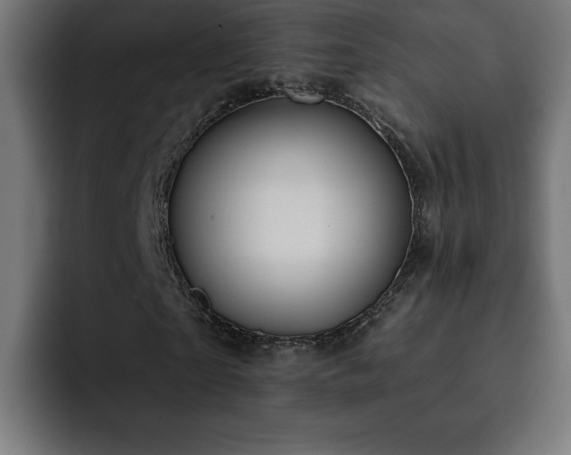 X0000093110865200710031314