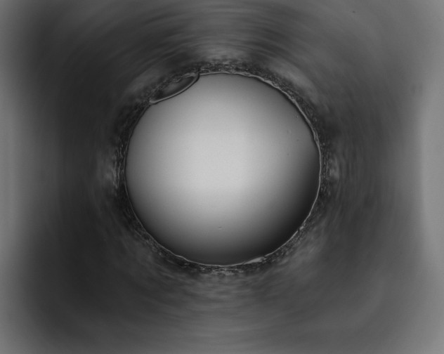 X0000093110869200710031314