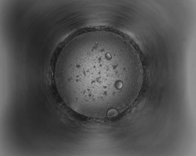 X0000093110871200710031314