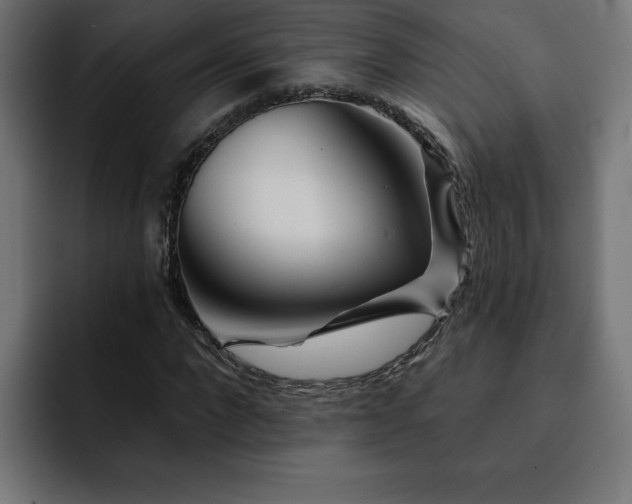 X0000093110872200710031314