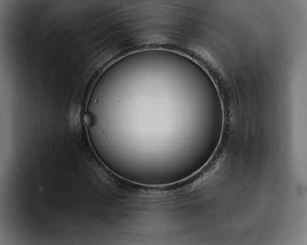 X0000093110873200710031314