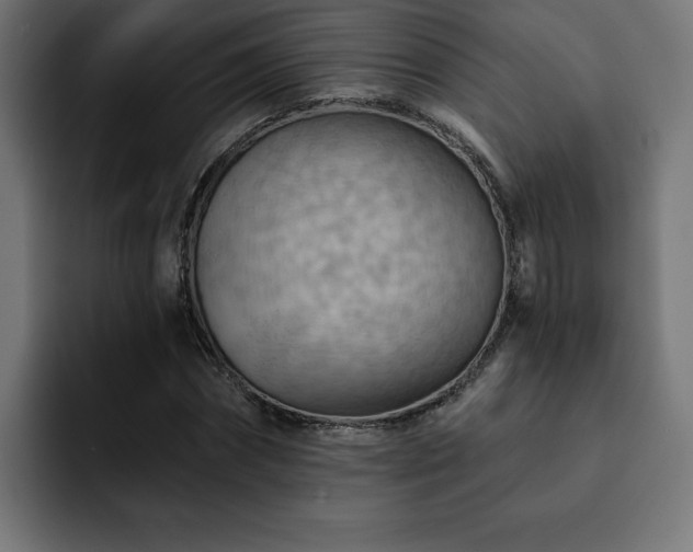 X0000093110874200710031314