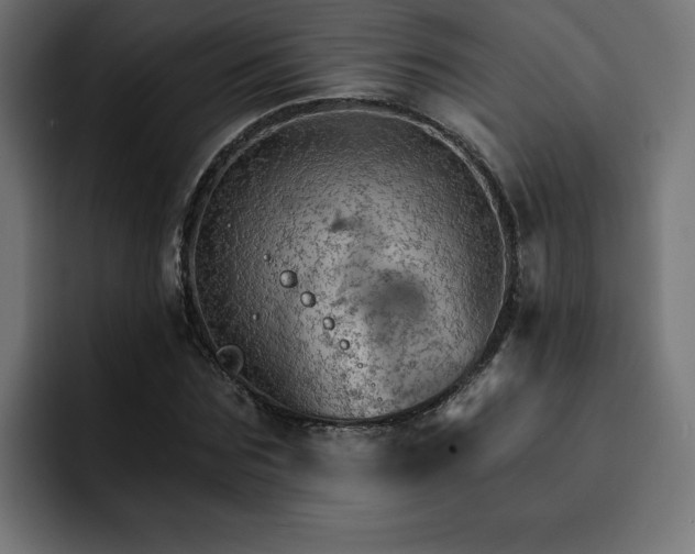 X0000093110875200710031314