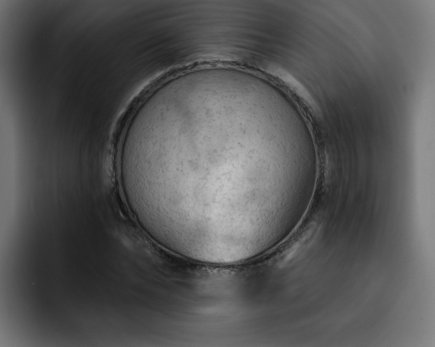X0000093110878200710031314