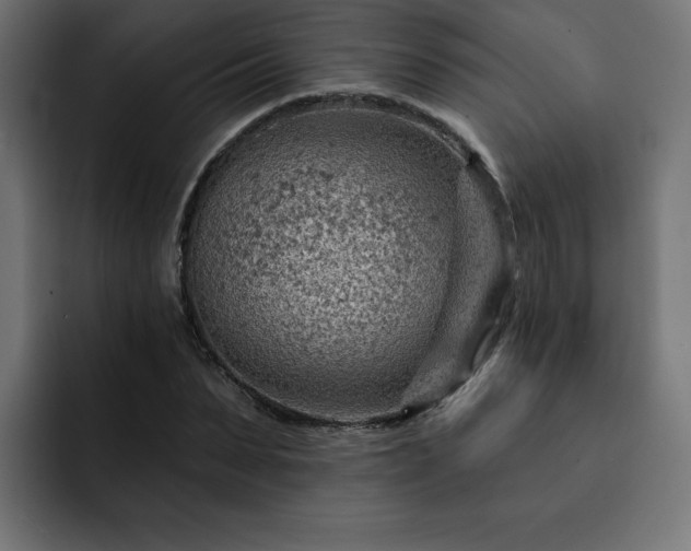 X0000093110879200710031314