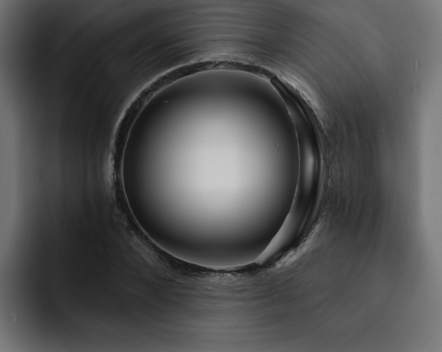 X0000093110880200710031314