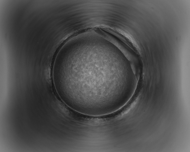 X0000093110881200710031314