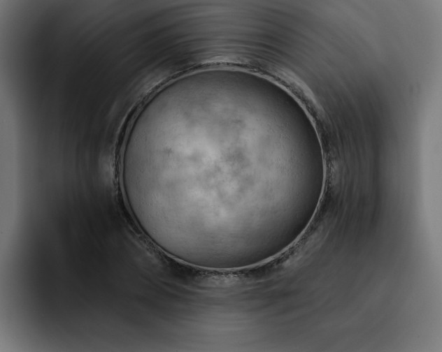 X0000093110882200710031314