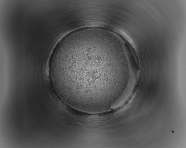 X0000093110883200710031314