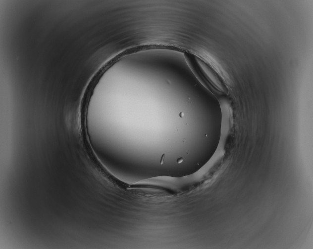 X0000093110884200710031314
