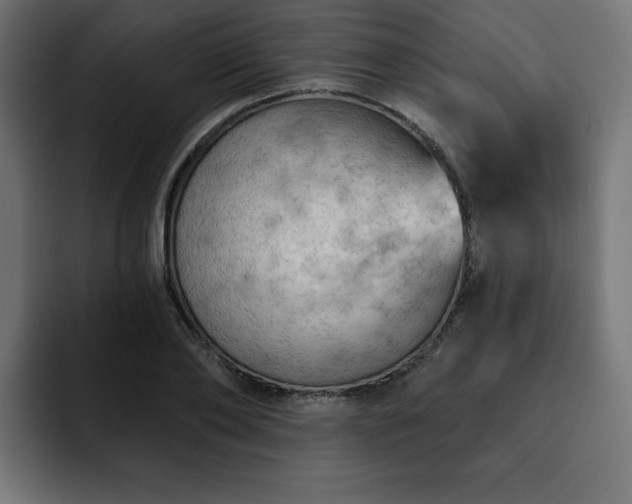 X0000093110886200710031314