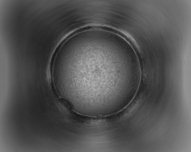 X0000093110887200710031314