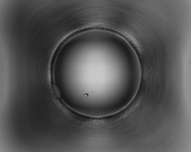 X0000093110888200710031314