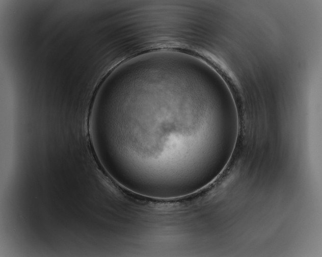X0000093110889200710031314