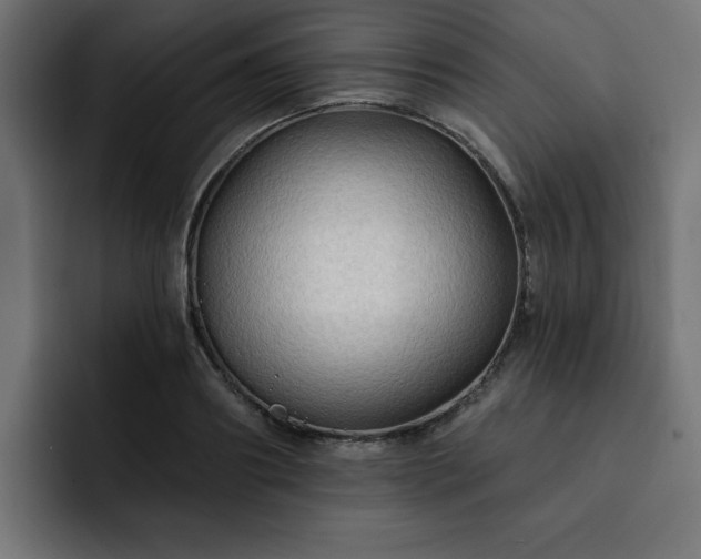 X0000093110890200710031314