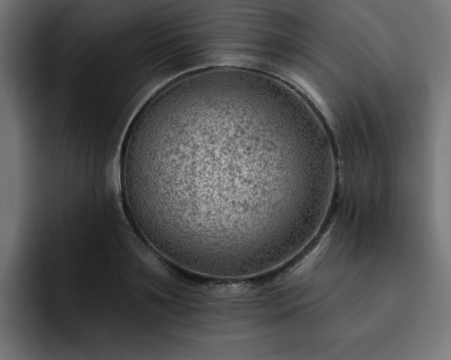X0000093110891200710031314