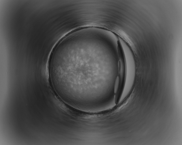 X0000093110892200710031314