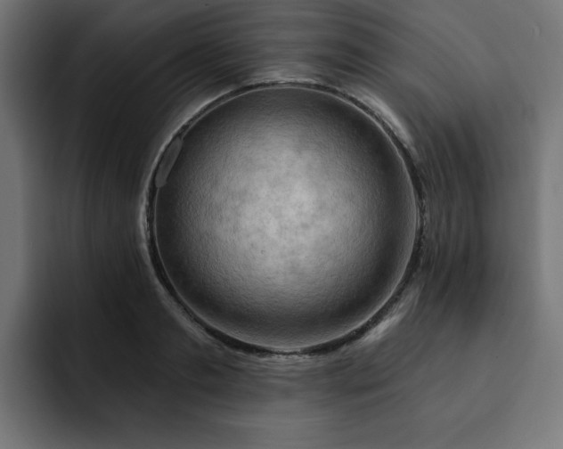 X0000093110893200710031314
