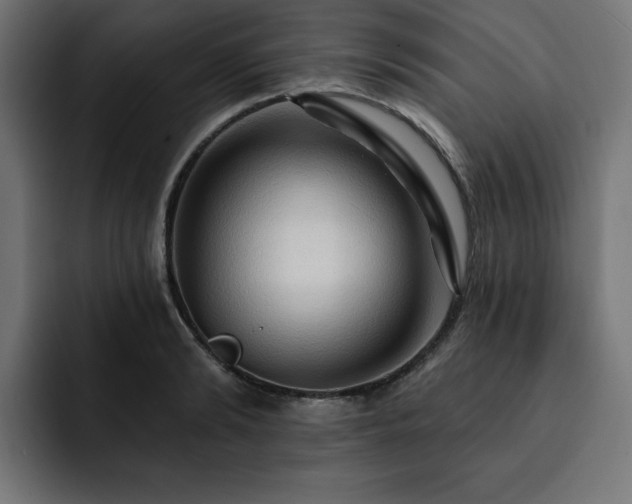 X0000093110894200710031314