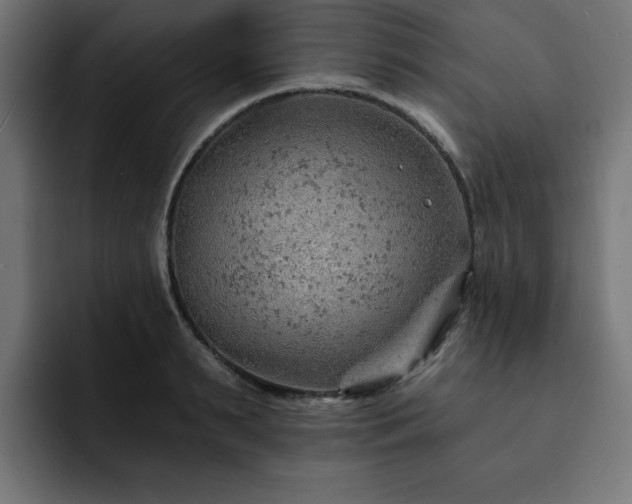 X0000093110895200710031314