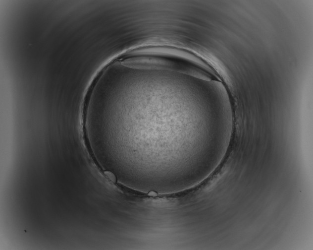 X0000093110896200710031314