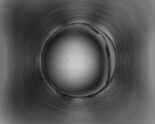 X0000093110898200710031314