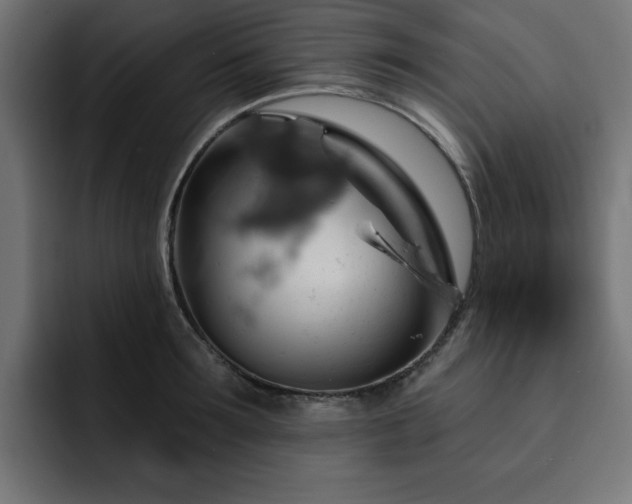 X0000093110899200710031314